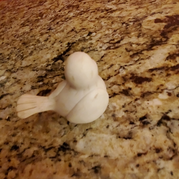 SIMPLE SPIRITS BIRD May 2013 - Picture 4 of 7